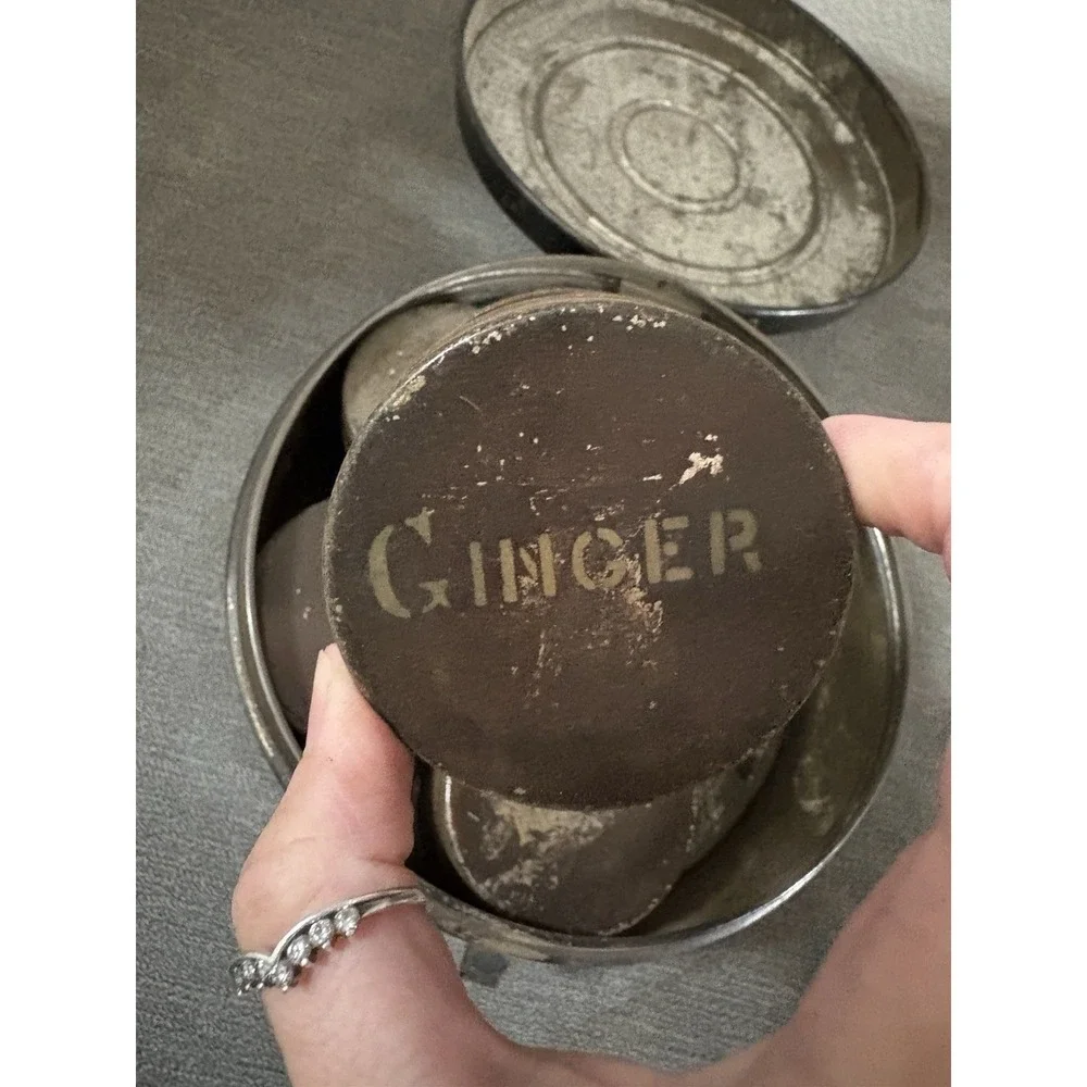 Antique Rustic Americana Spice Tin Canister Travel Set of 5 With Tin Carrier